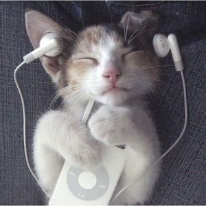 Meet your Posher, Anaiah